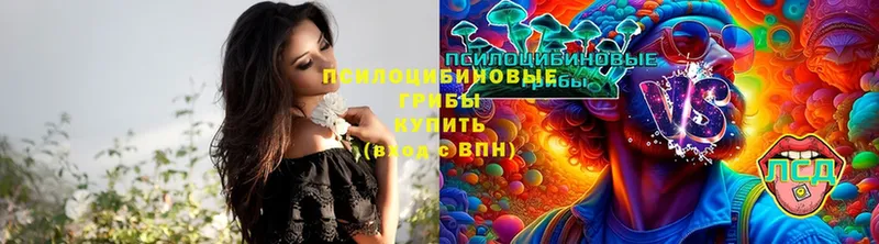 нарко площадка Telegram  Приволжск  Галлюциногенные грибы MAGIC MUSHROOMS 